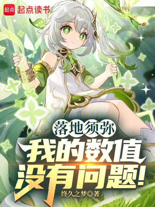 落地须弥：我的数值没有问题！